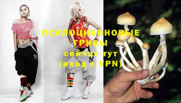 МДПВ Остров